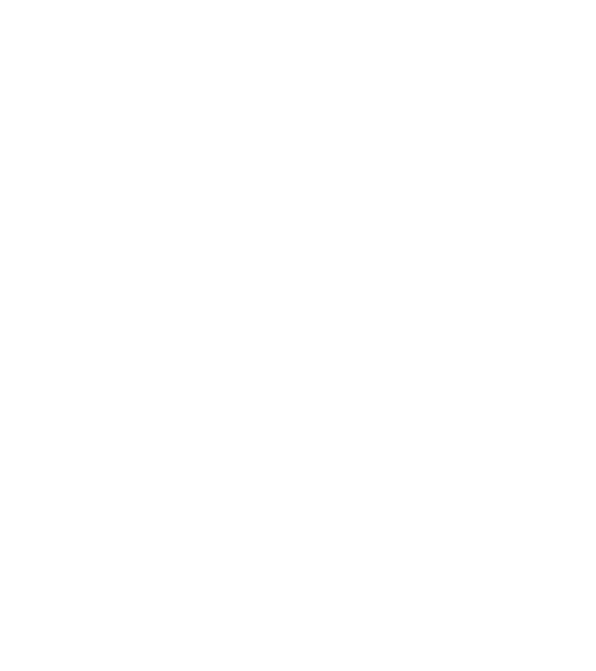 locksmiths-ltd-high-resolution-logo-white-transparent